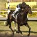 Shared Belief 102314L 