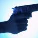 gun 040509L 0 17 