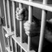 jail 090512L 11 