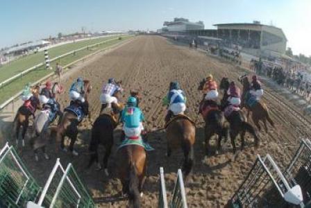 preakness 2011. preakness 2011.