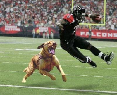 Michael Vick Signs With