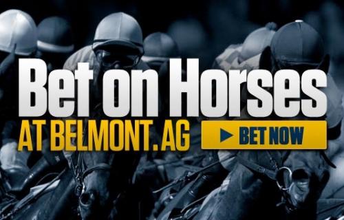 Belmont-Horses.jpg