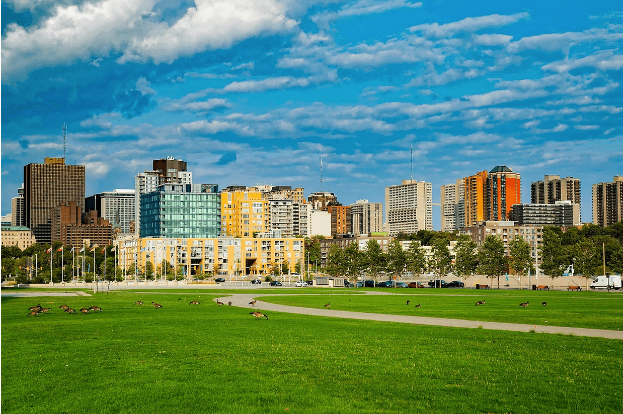 city-park.png