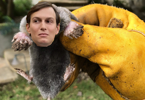 is jared the mole.png