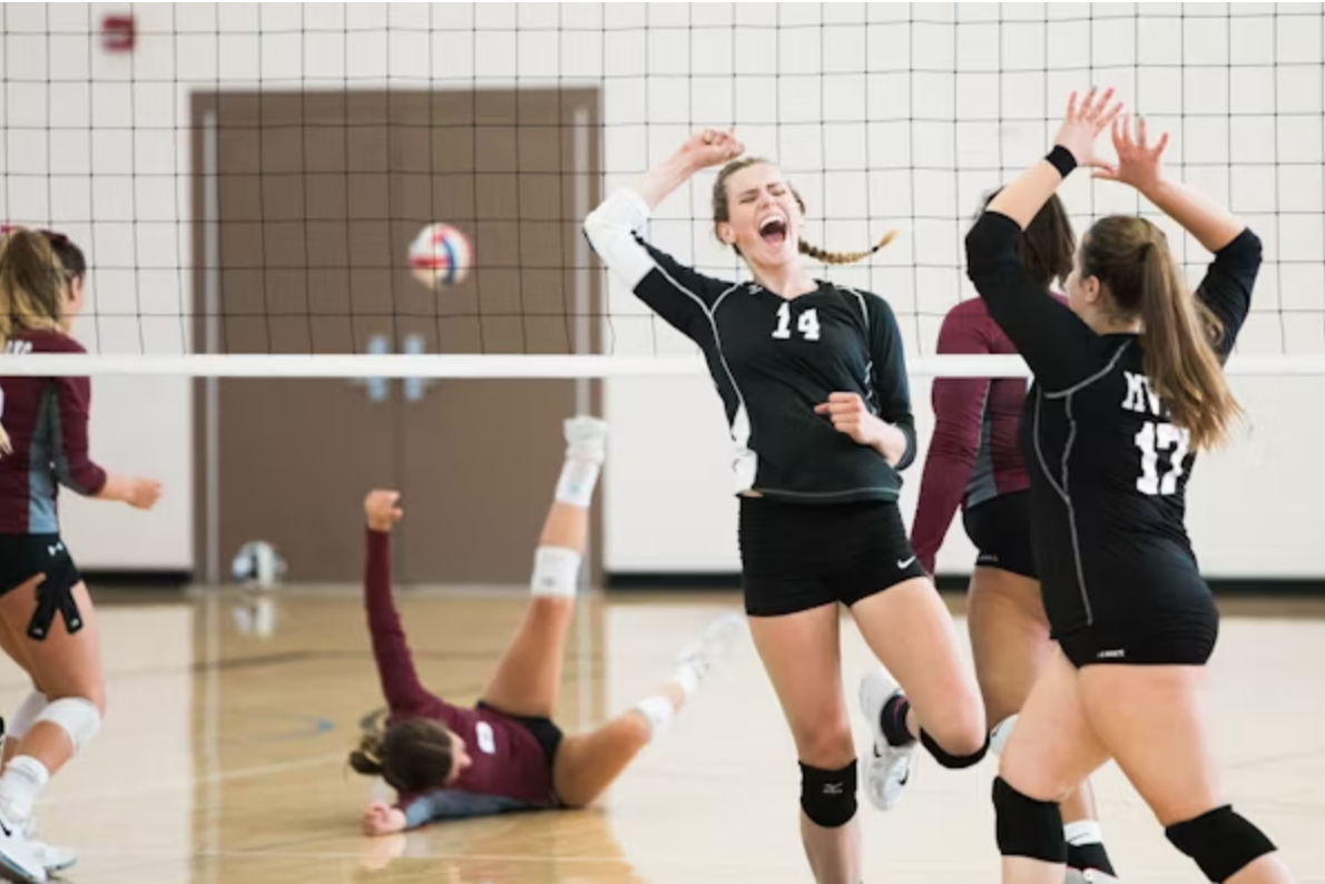 players-playing-volleyball-040124.png