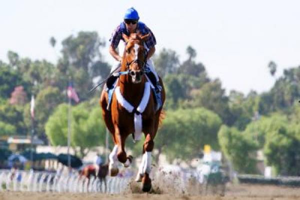 2008 Breeders' Cup