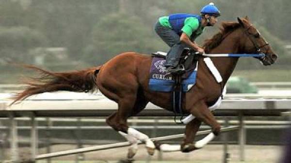 2008 Breeders Cup 2008 Breeders Cup