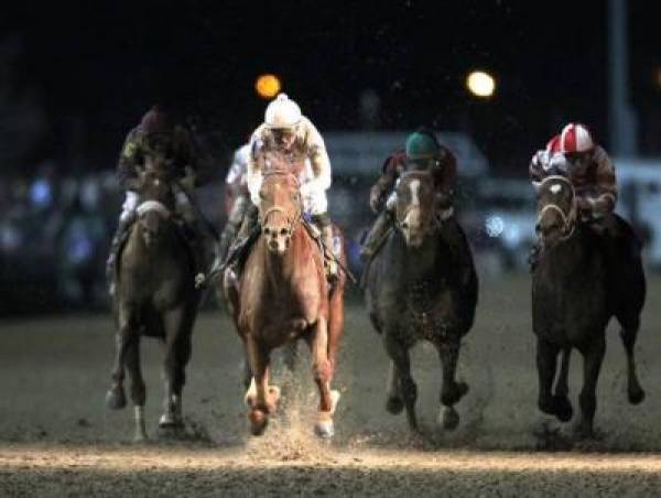 2012 Breeders Cup Classic Payouts 2012 Breeders Cup Classic Payouts