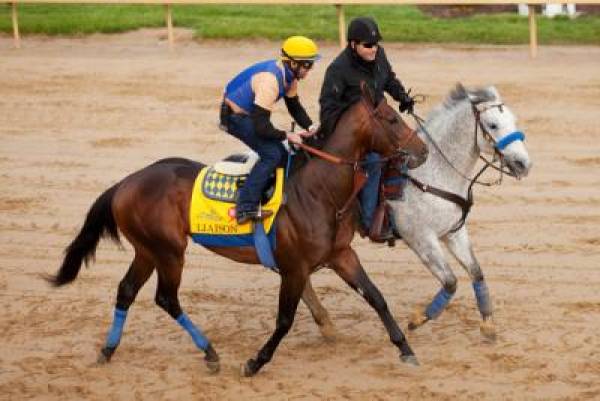 2012 Kentucky Derby Contenders 2012 Kentucky Derby Contenders