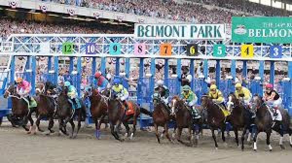 Belmont Stakes 2014 Overnight Lines