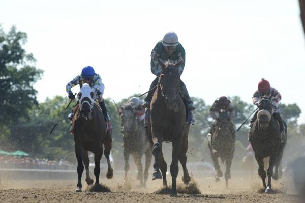 2014 Breeders Cup Classic Morning Odds: Zivo Sees Big Price Shift 