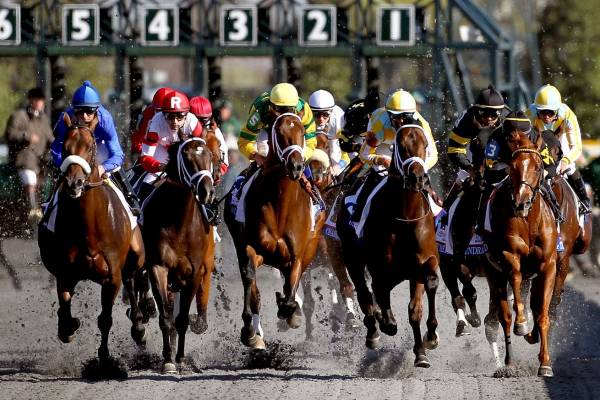 2016 Lexington Stakes Betting Odds:  Swipe the Favorite