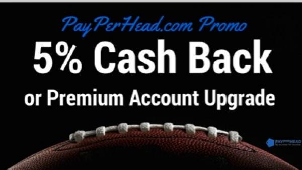 PayPerHead.com Promo: Get 5% Cash Back or Premium Account Upgrade (G911)