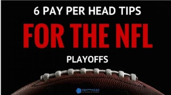 6 Pay Per Head Tips for the NFL Playoffs 6 Pay Per Head Tips for the NFL Playoffs