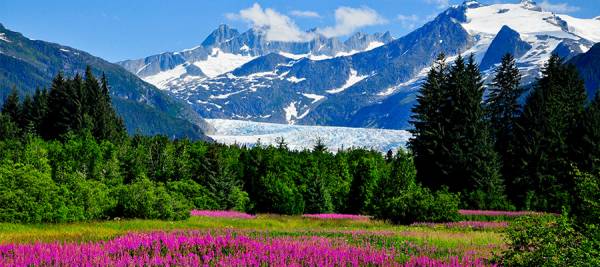 Where Can I Bet on the Kentucky Derby From Alaska?  Denied at TwinSpires