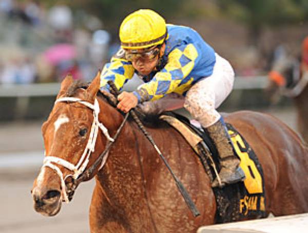 Algorithms Early Odds to Win 2012 Kentucky Derby Have Him at 8-1
