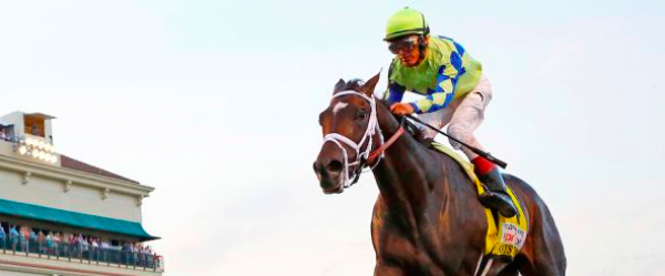 Best Payout Odds on Always Dreaming Winning Preakness: Now Even at Bookmaker