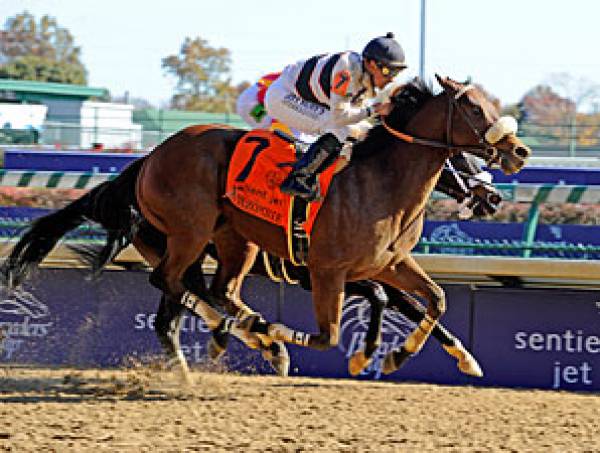 San Carlos Stakes 2012 Odds to Win – Santa Anita Park