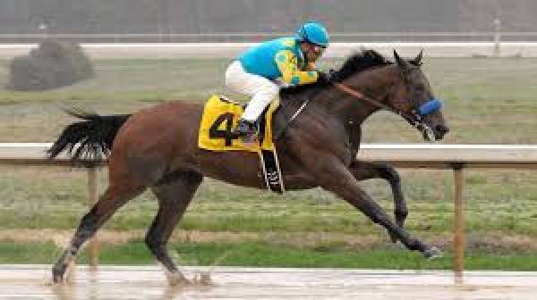 American Pharoah Preakness Post Position One has Only Seen One Winner