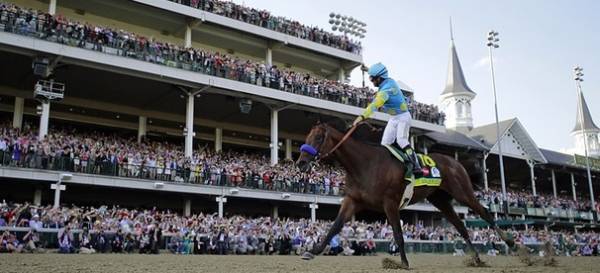 American Pharoah Current Odds to Win 2015 Breeders Cup Classic