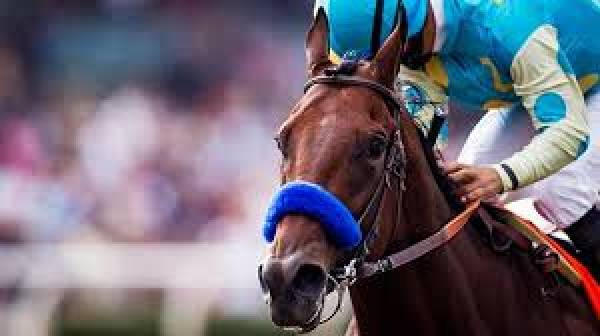 2015 Arkansas Derby Betting Odds: American Pharoah Heavy Favorite