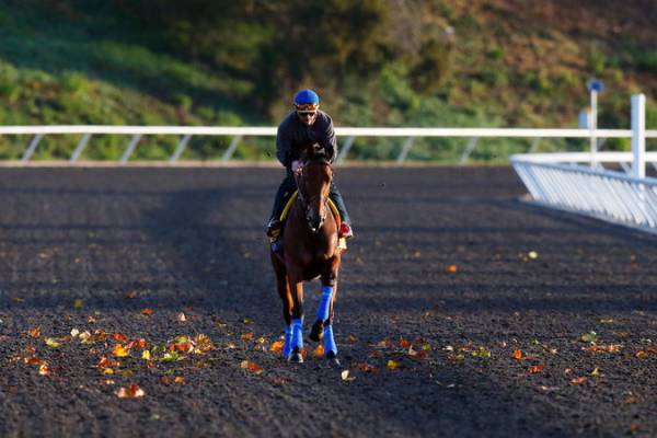Breeders Cup Classic 2015 Morning Odds