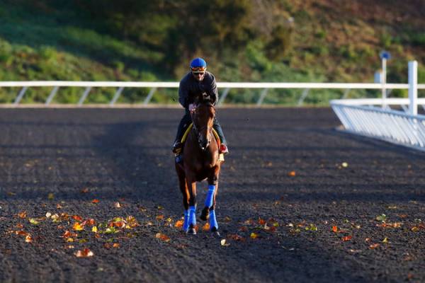 Breeders Cup Classic 2015 Morning Odds Breeders Cup Classic 2015 Morning Odds