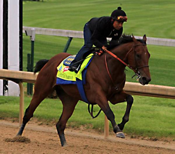 American Pharoah Kentucky Derby Odds Still 2-1 Following Dreadful Post Position 