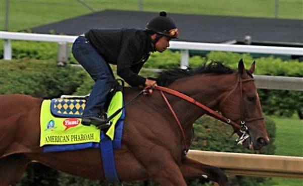 American Pharoah vs. Dortmund, Firing Line Betting Odds – Preakness Stakes American Pharoah vs. Dortmund, Firing Line Betting Odds – Preakness Stakes