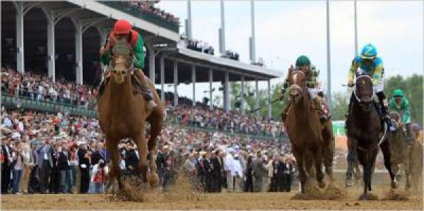 Animal Kingdom Odds to Win 2011 Preakness Stakes