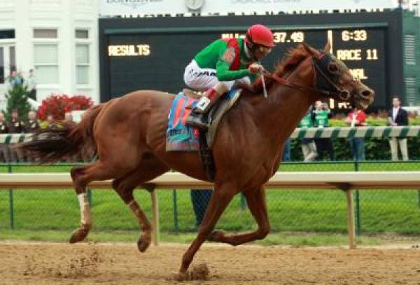 Animal Kingdom Odds to Win Triple Crown