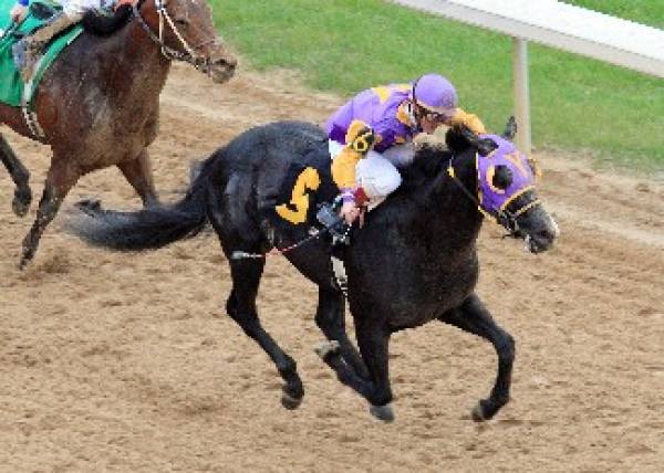 Archarcharch Odds to Win Kentucky Derby Archarcharch Odds to Win Kentucky Derby