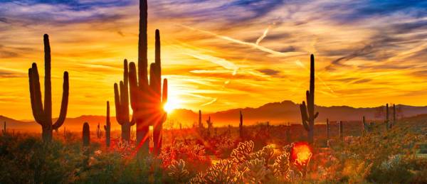 Feds OK Arizona Compact and Sports Betting Deal