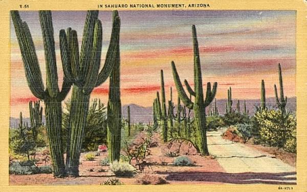 Can I Play on PokerStars From Arizona? 