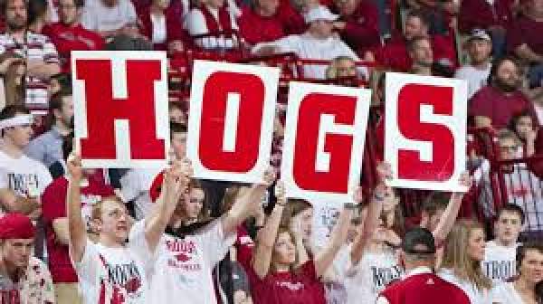 Free Pay Per Head for Arkansas Sports Bettors as Basketball Team Leads SEC