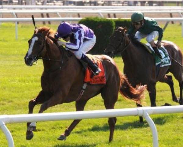 Odds to Win the Arlington Million 2011