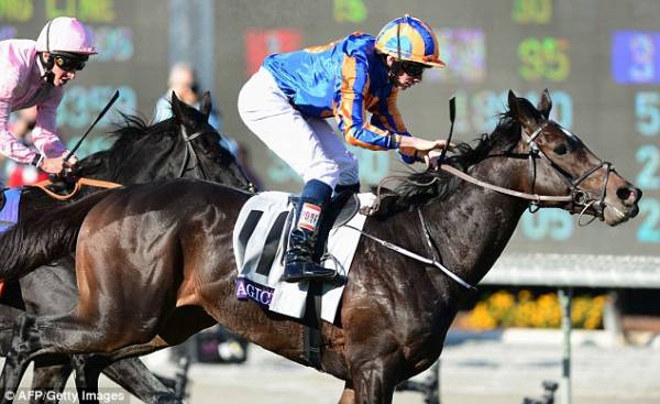 Arlington Million 2014 Betting Odds: Magician, Real Solution Favored