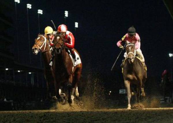 Astrology Odds to Win the 2011 Preakness Stakes Astrology Odds to Win the 2011 Preakness Stakes