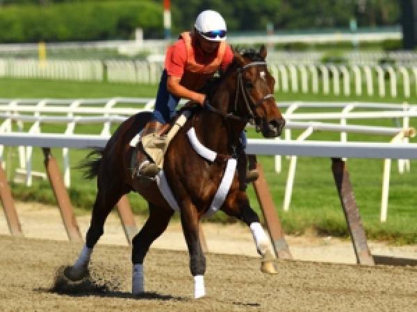 Atigun, Paynter, Street Life Odds to Win 2012 Belmont Stakes