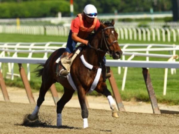 Atigun, Paynter, Street Life Odds to Win 2012 Belmont Stakes