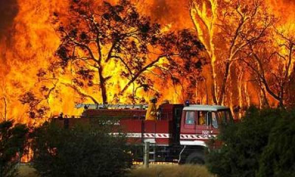 Australia Wildfire