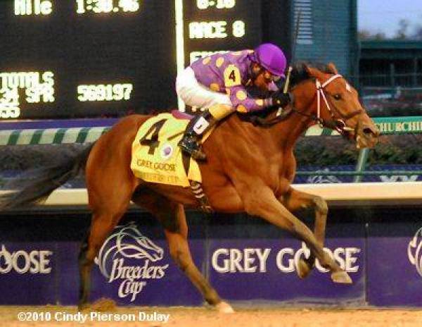 Breeders Cup Ladies Classic Betting Odds 2012