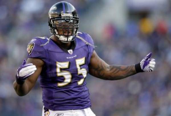 Baltimore Ravens 2013 Super Bowl Odds, Wins Total Bet Baltimore Ravens 2013 Super Bowl Odds, Wins Total Bet