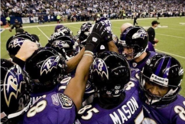 Baltimore Ravens AFC North 2013 Odds