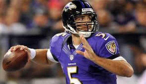 Baltimore Ravens Odds to Win 2015 Super Bowl