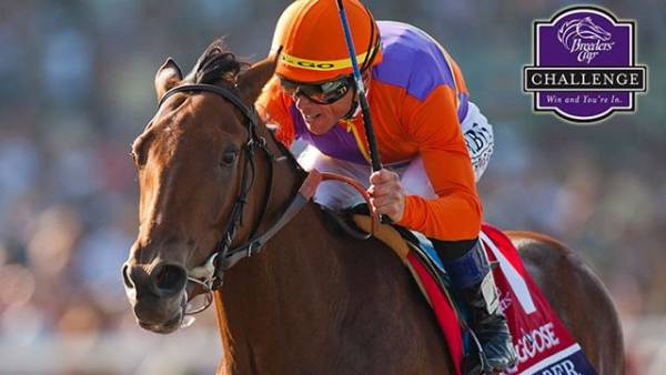 2015 Breeders Cup Early Betting Odds 