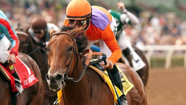 Payout on Beholder to Win the 2015 Breeders Cup Classic $350