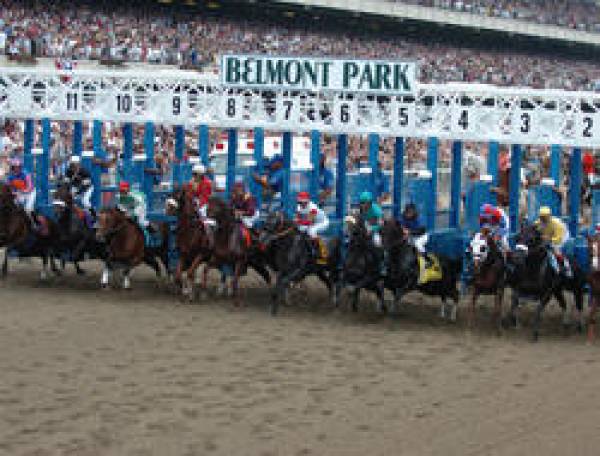 Belmont Stakes Odds