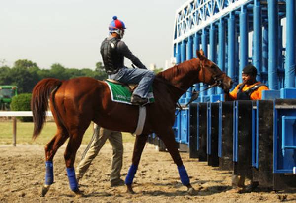 Belmont Stakes 2011 Morning Odds