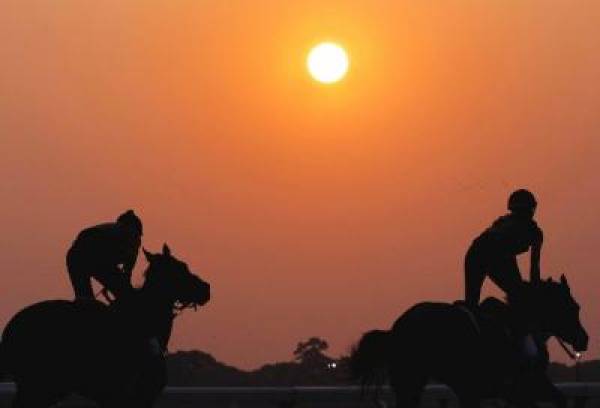 Ruler On Ice Wins 2011 Belmont Stakes